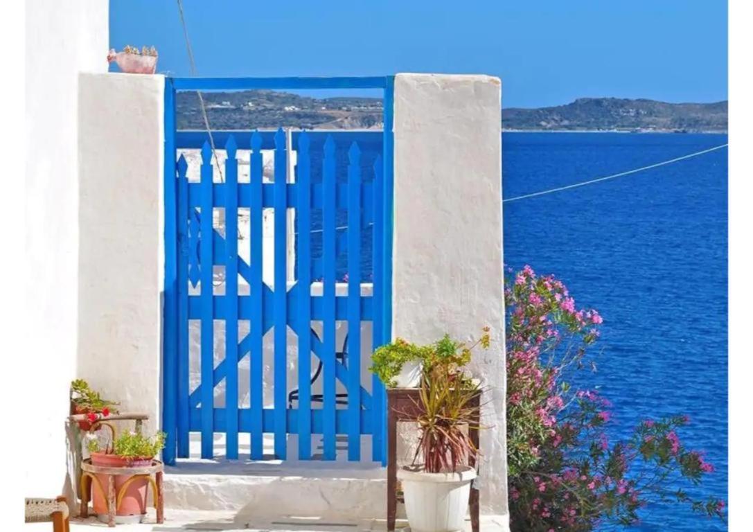 Auntie's house photo 4