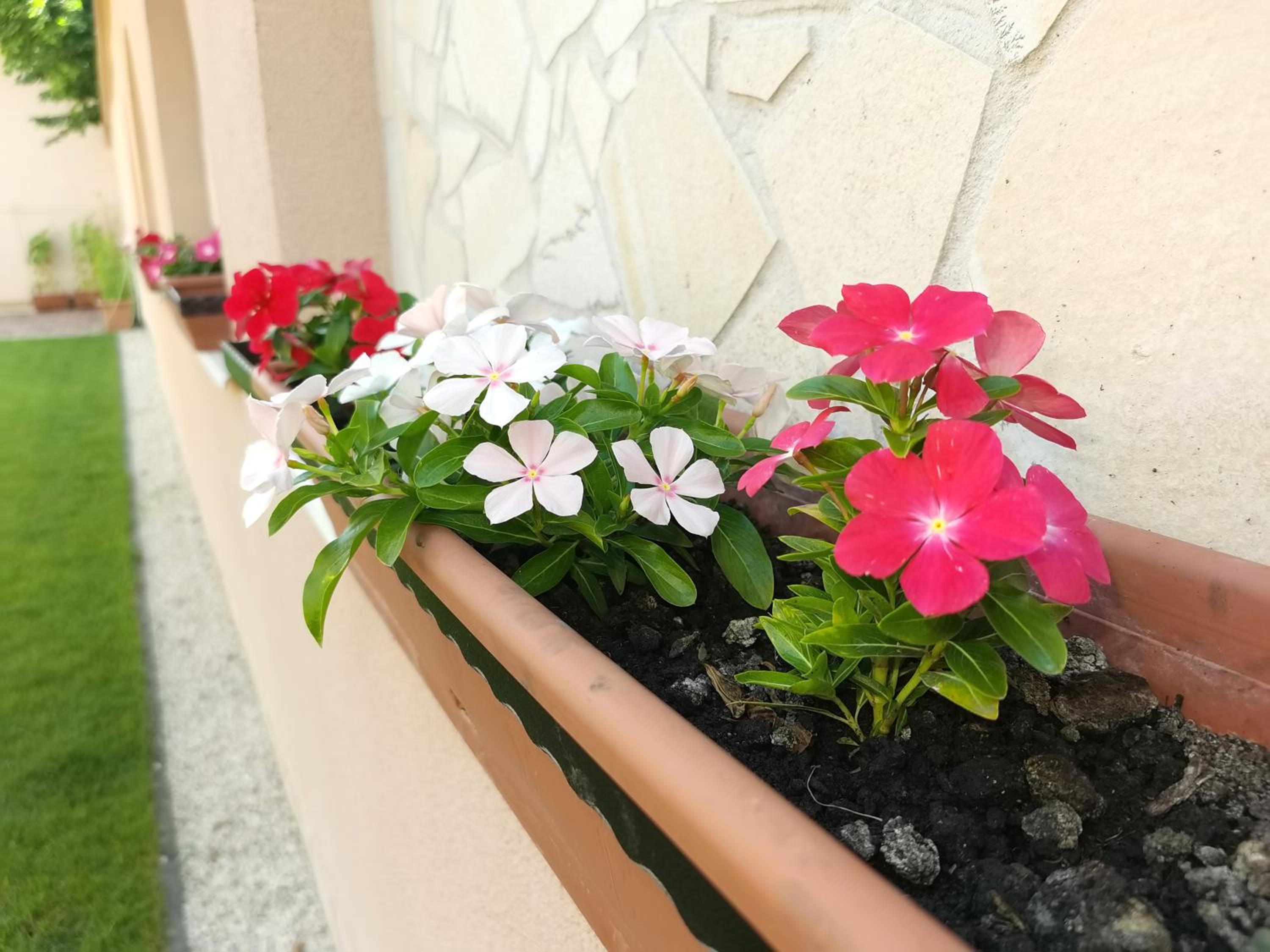 Enci Apartman