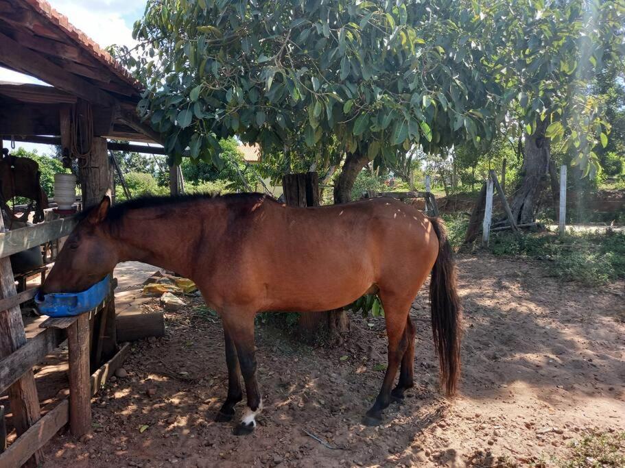 Casa em sítio à beira do Rio Piracicaba c piscina e dois quartos