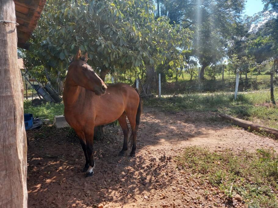 Casa em sítio à beira do Rio Piracicaba c piscina e dois quartos