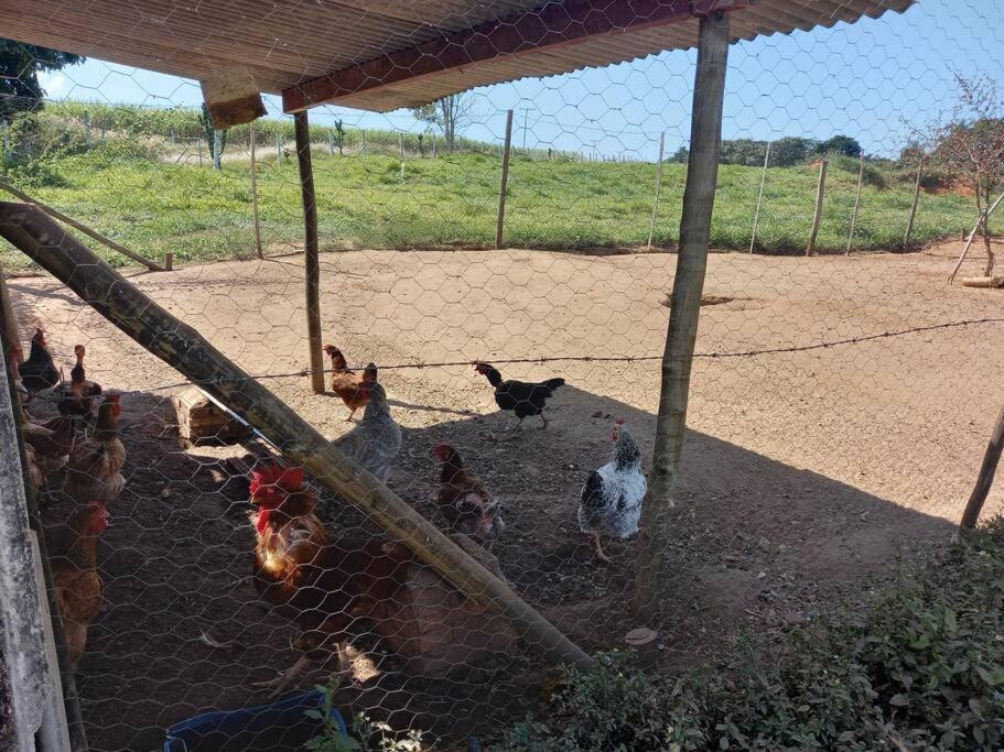 Casa em sítio à beira do Rio Piracicaba c piscina e dois quartos