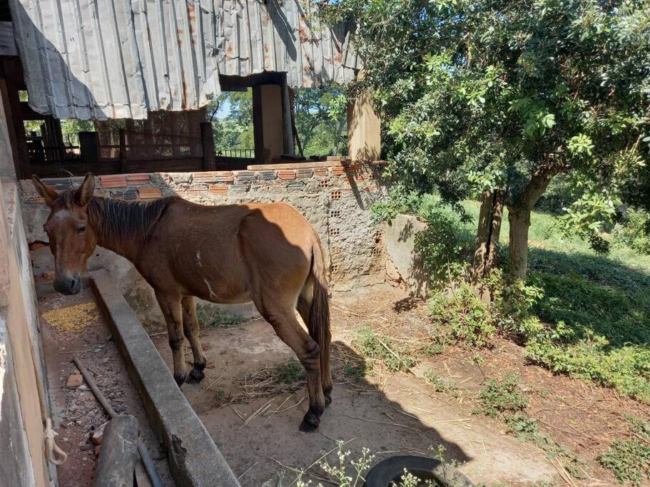 Casa em sítio à beira do Rio Piracicaba c piscina e dois quartos