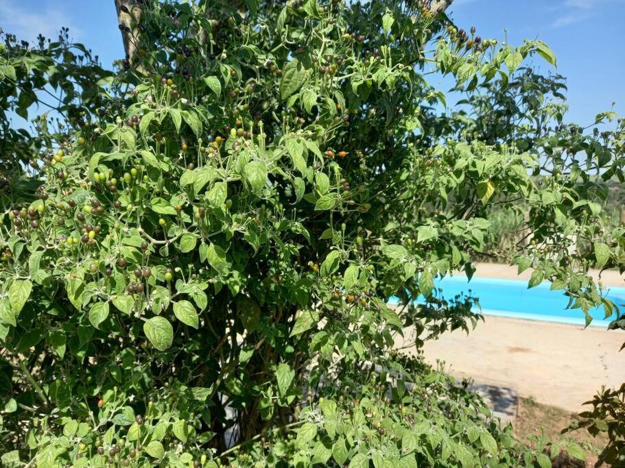 Casa em sítio à beira do Rio Piracicaba c piscina e dois quartos