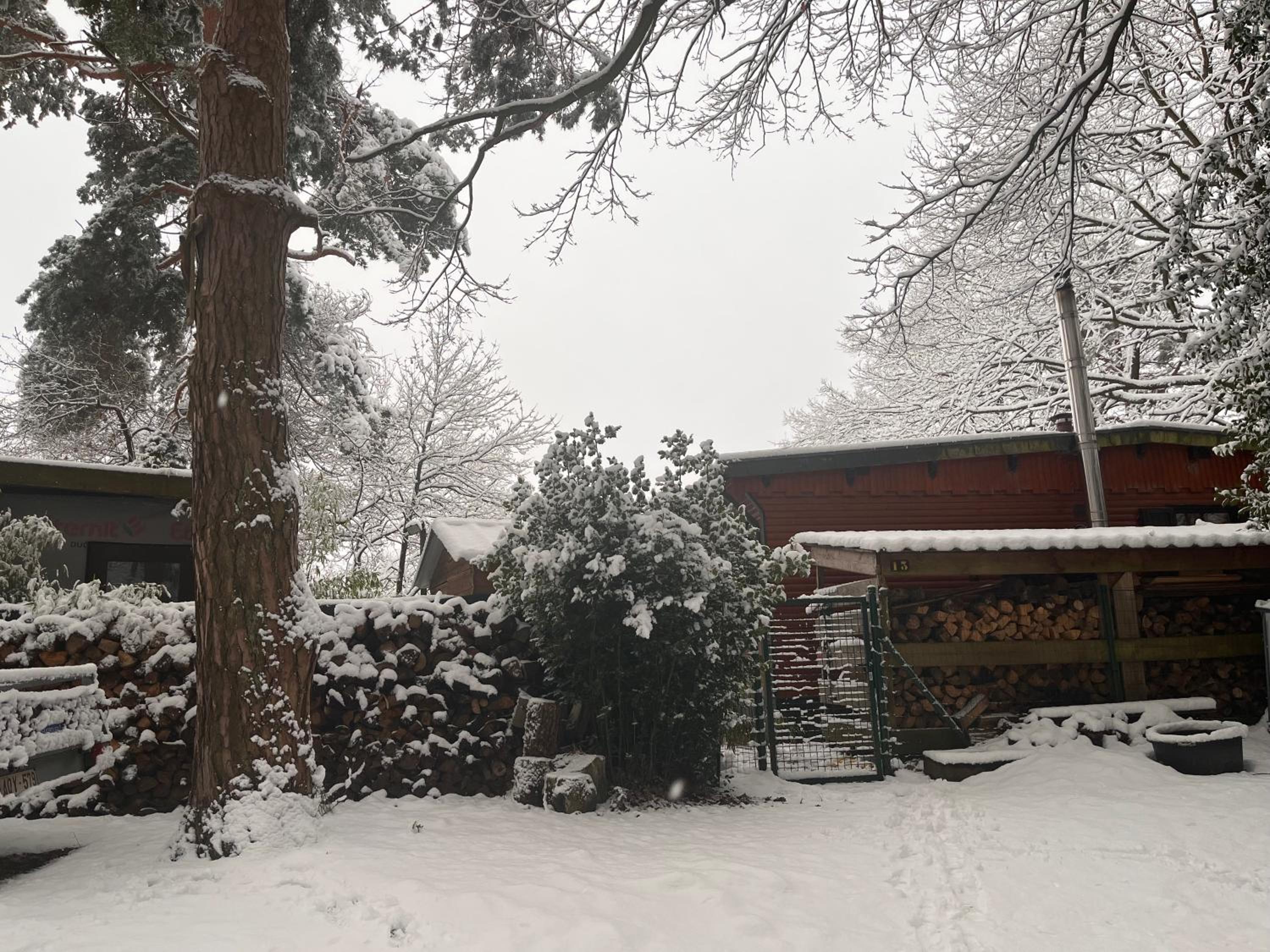 Woods House