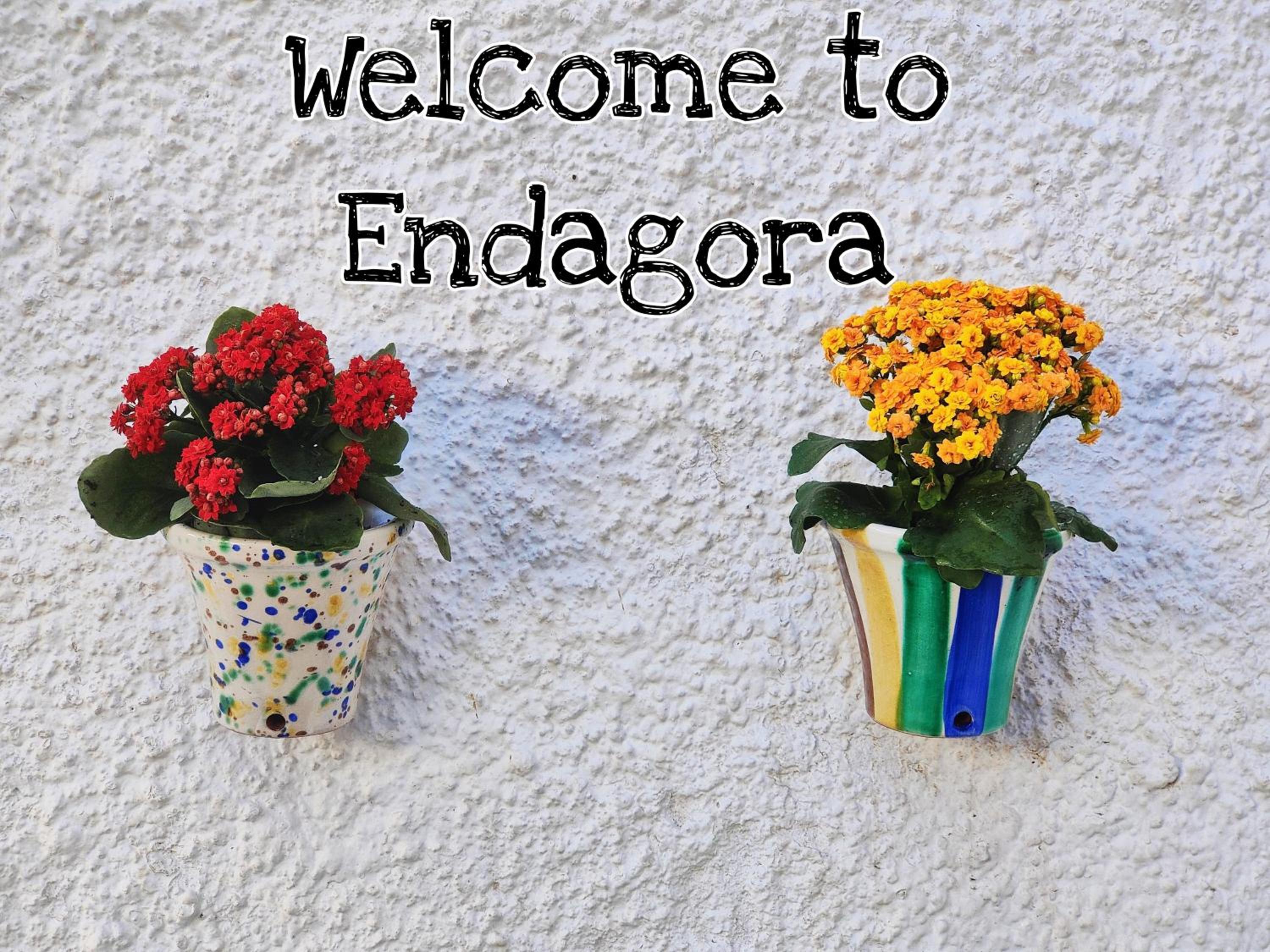ENDAGORA