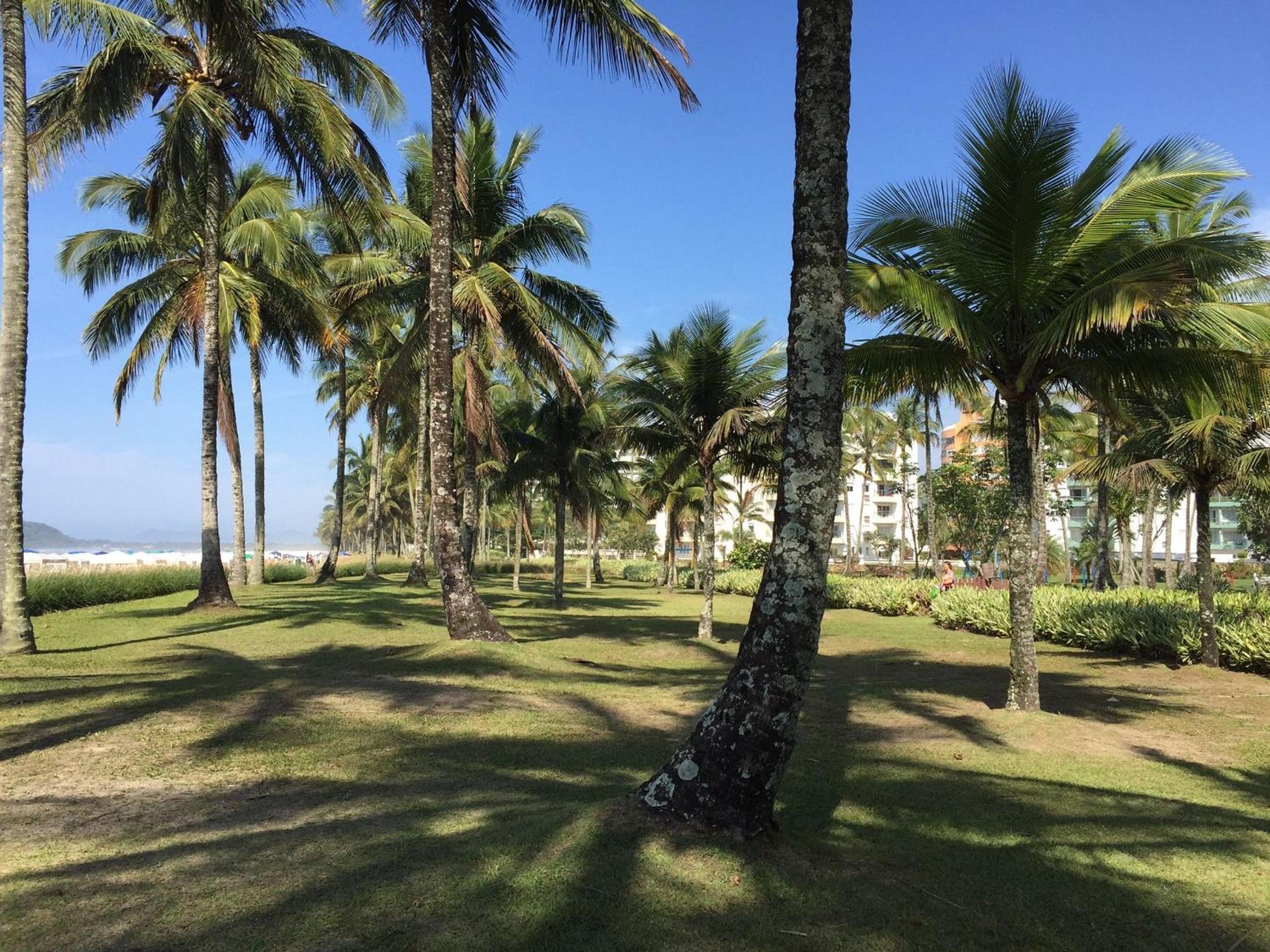 Riviera: M4 Giardino 44A, Beach front