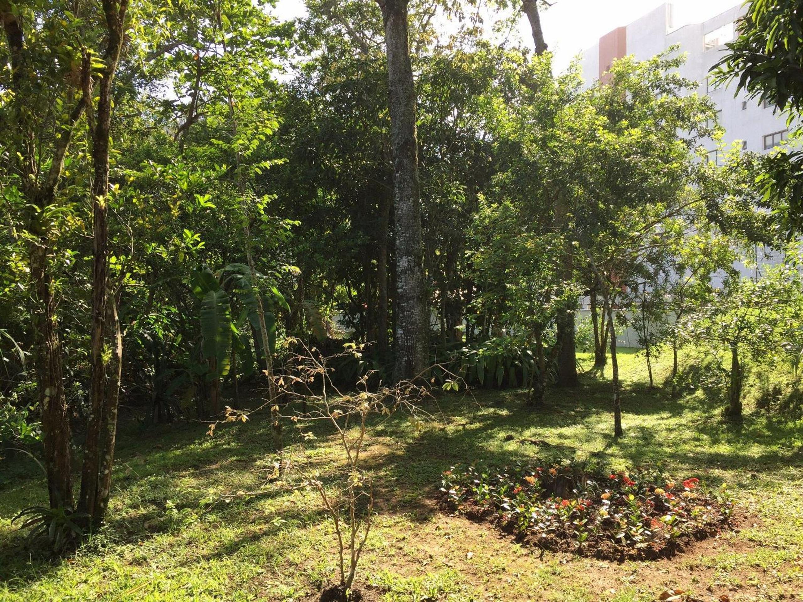 Riviera: M4 Giardino 44A, Beach front