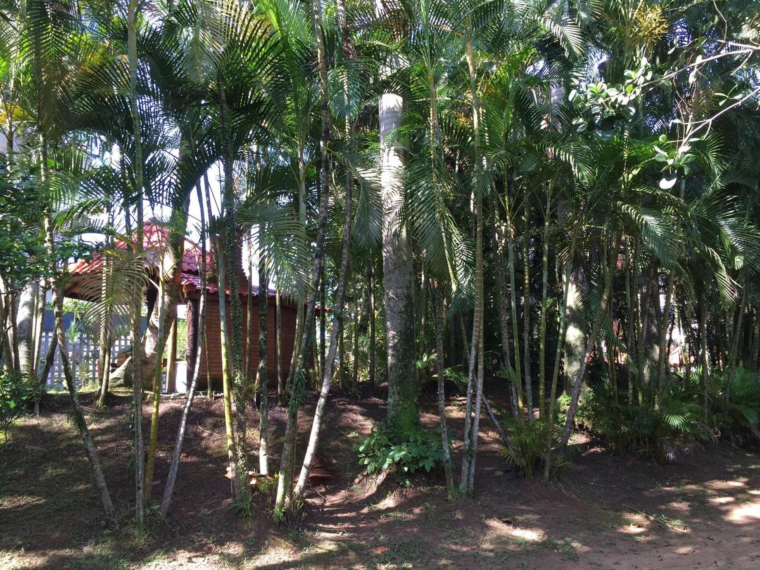 Riviera: M4 Giardino 44A, Beach front