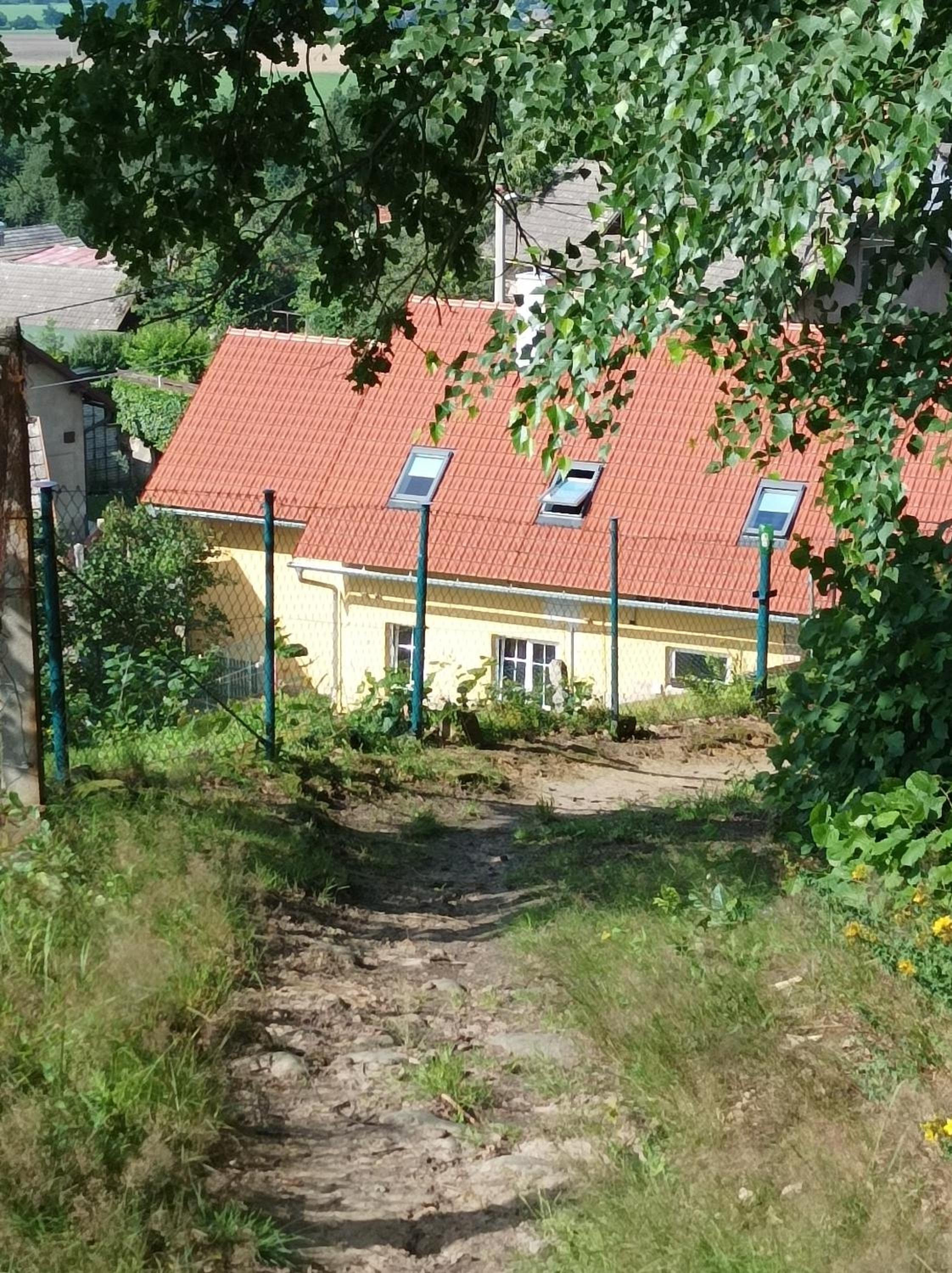 Photo 20