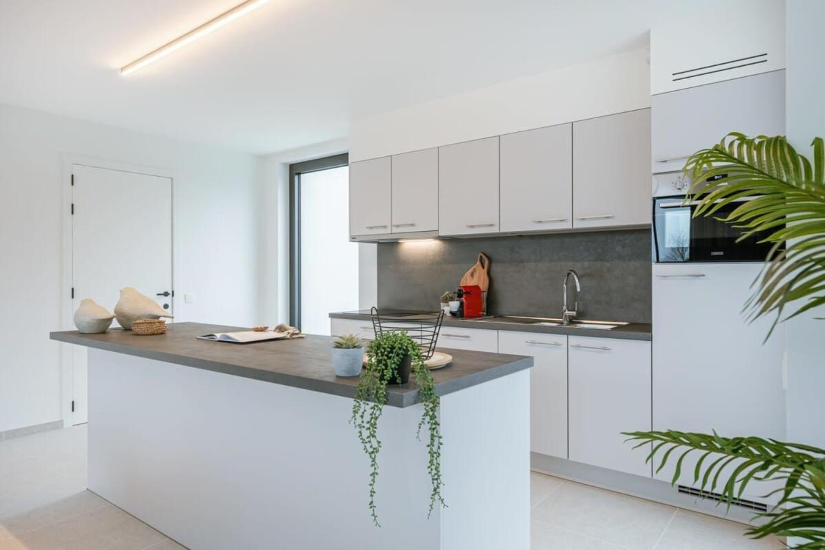Casiola - Apartment with two large terraces