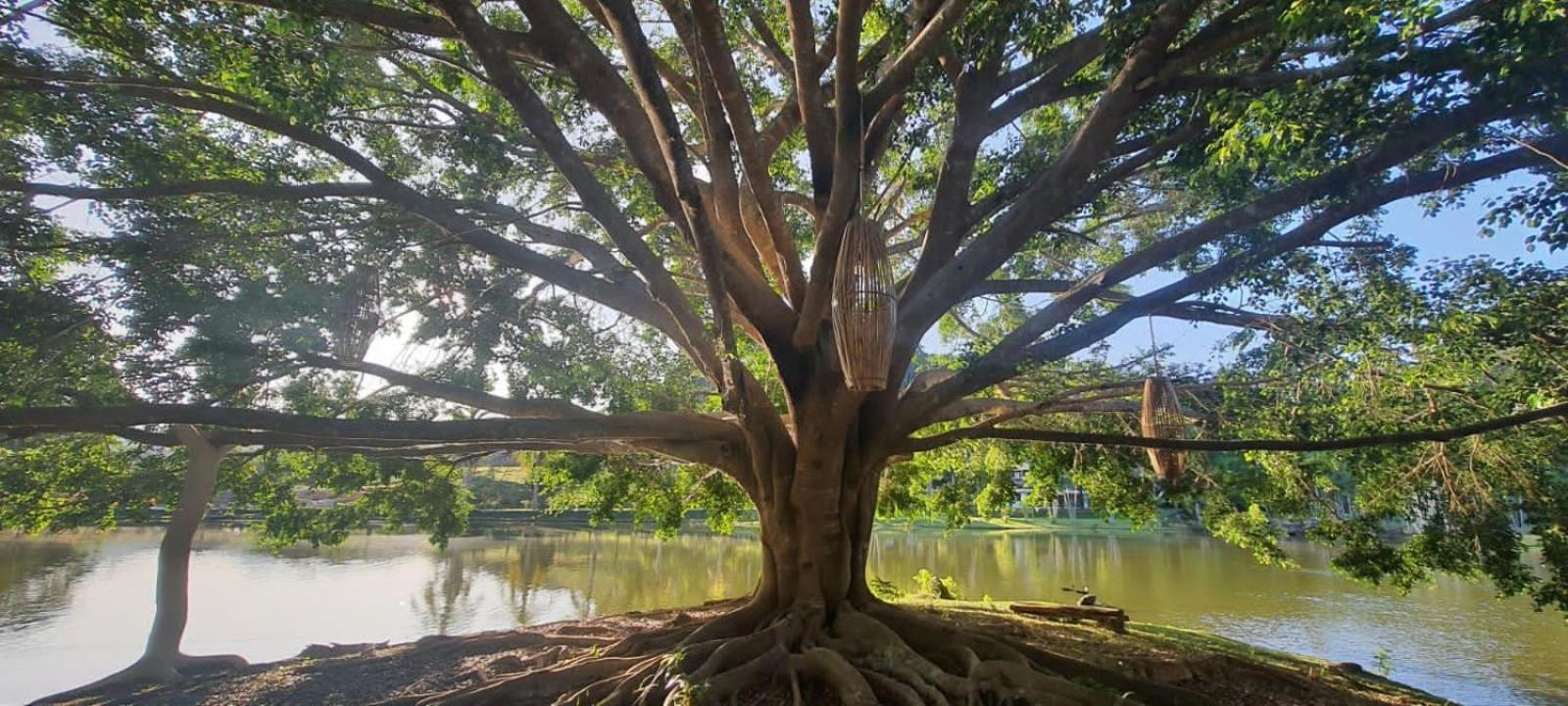 Canto de Roca Turismo e Lazer