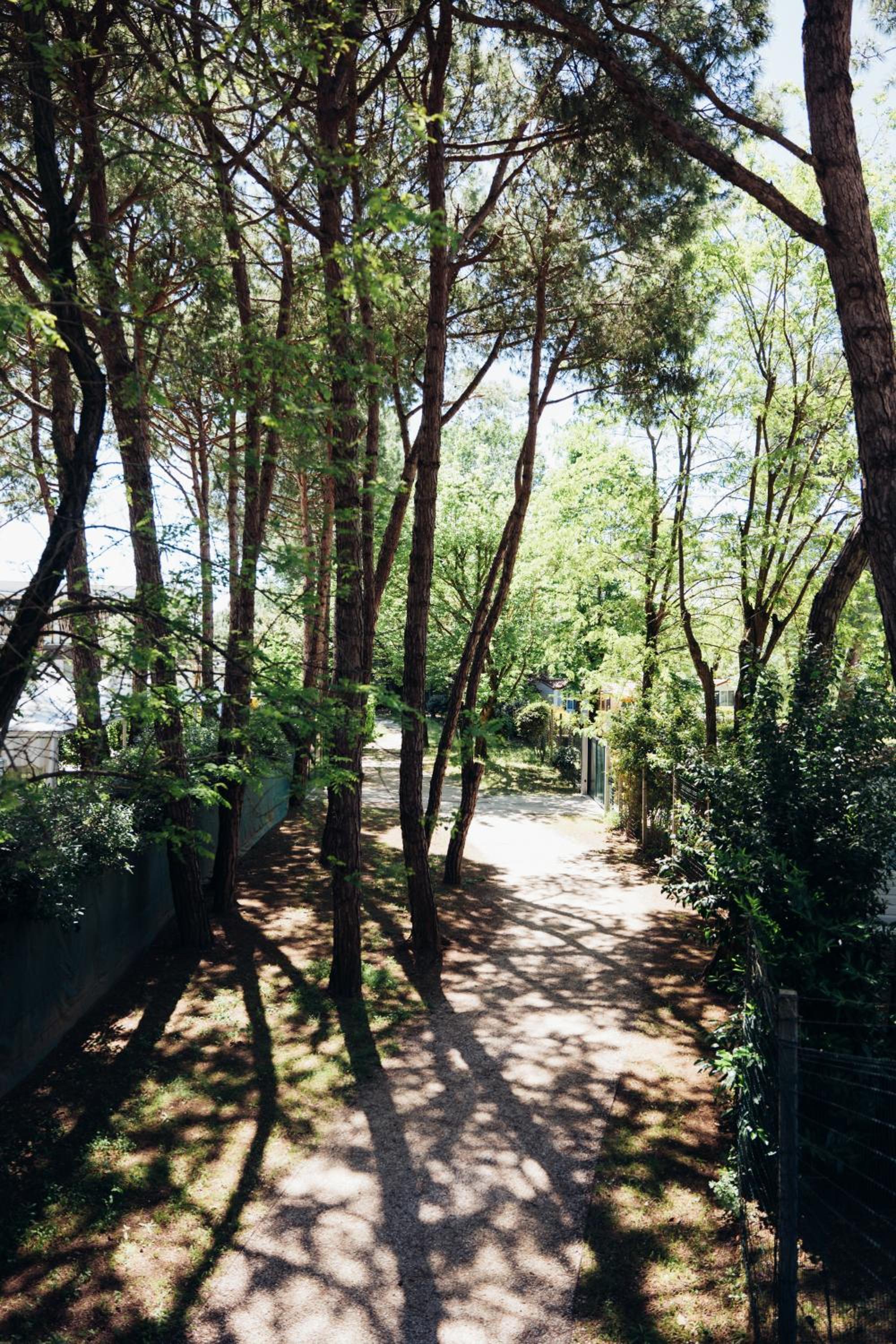 Vibra Glamping, photo 23