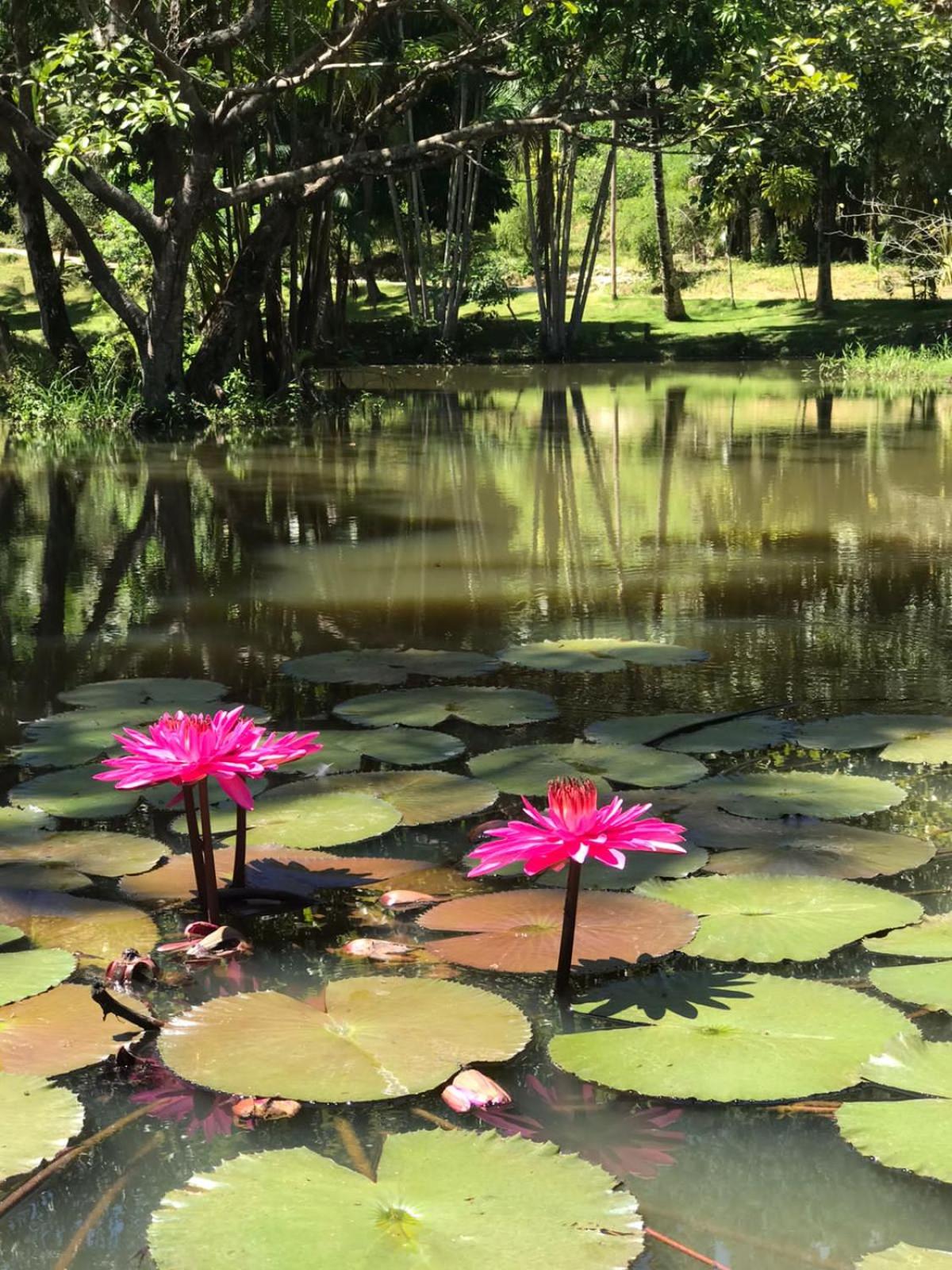Canto de Roca Turismo e Lazer