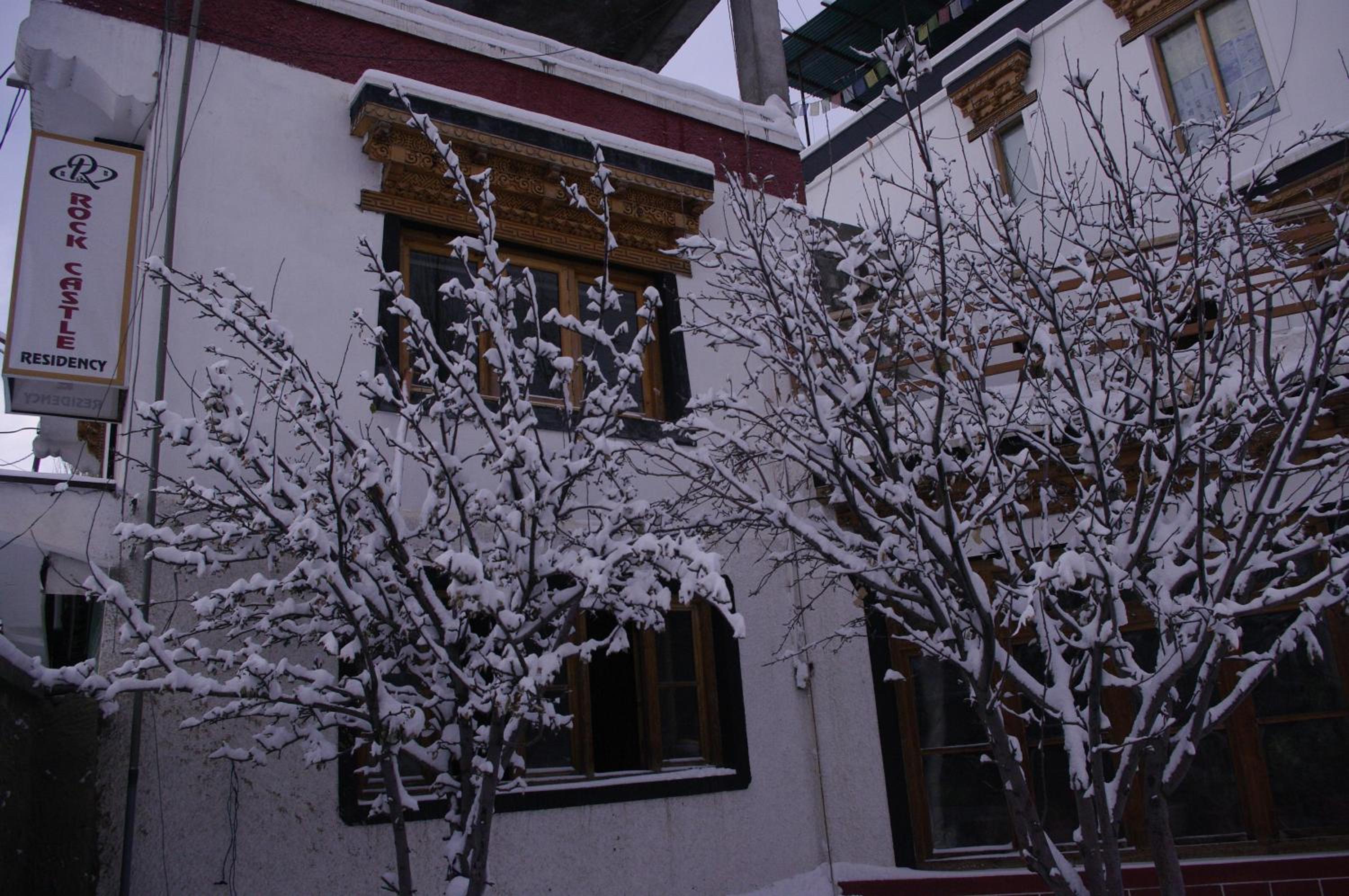 Photo 48