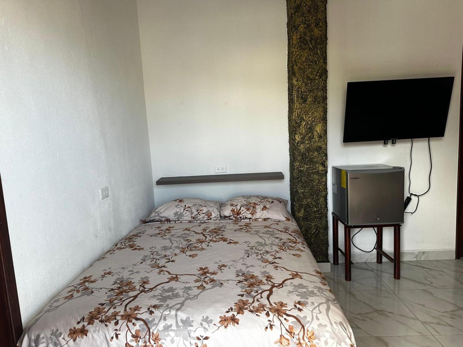 Casa Palmamar