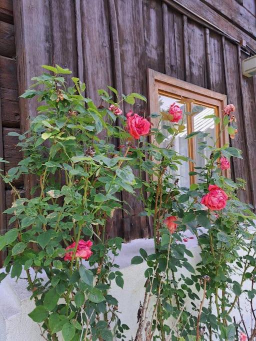 Ferienhaus Chalet Großsölk