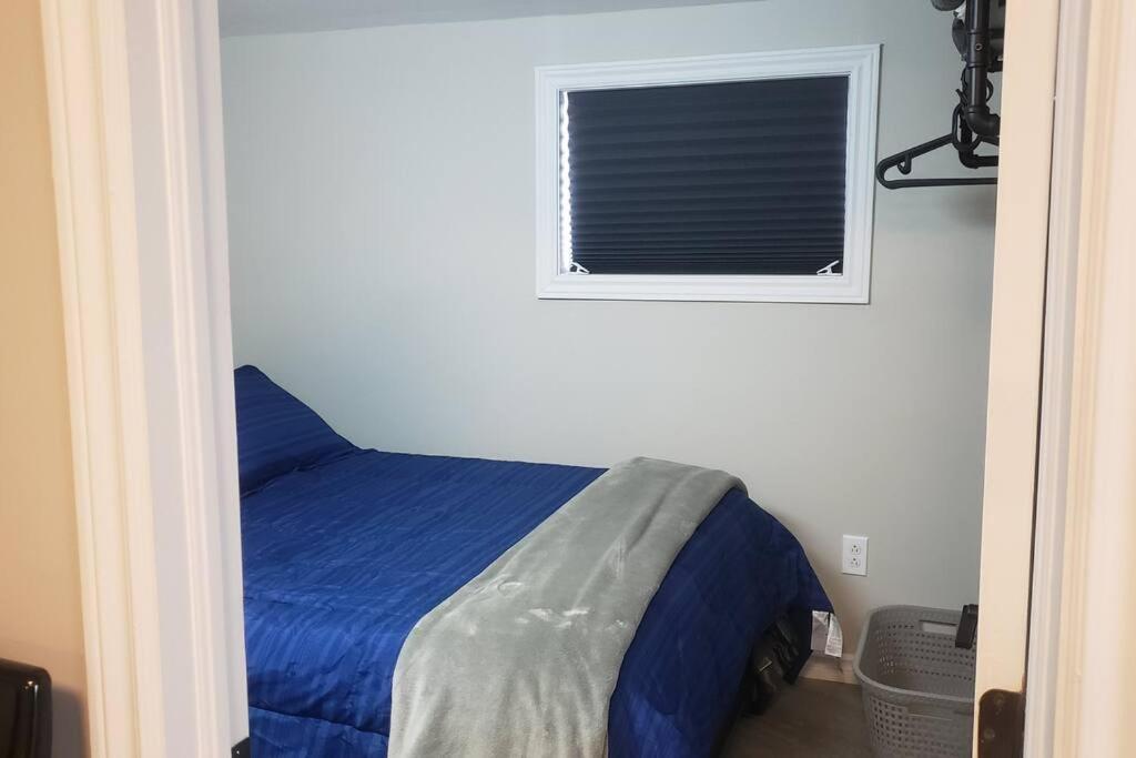 Cozy home on a quiet street minutes to DT Kingston