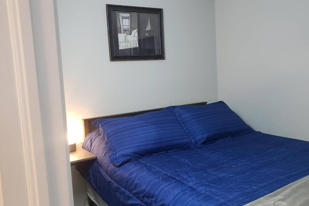 Cozy home on a quiet street minutes to DT Kingston