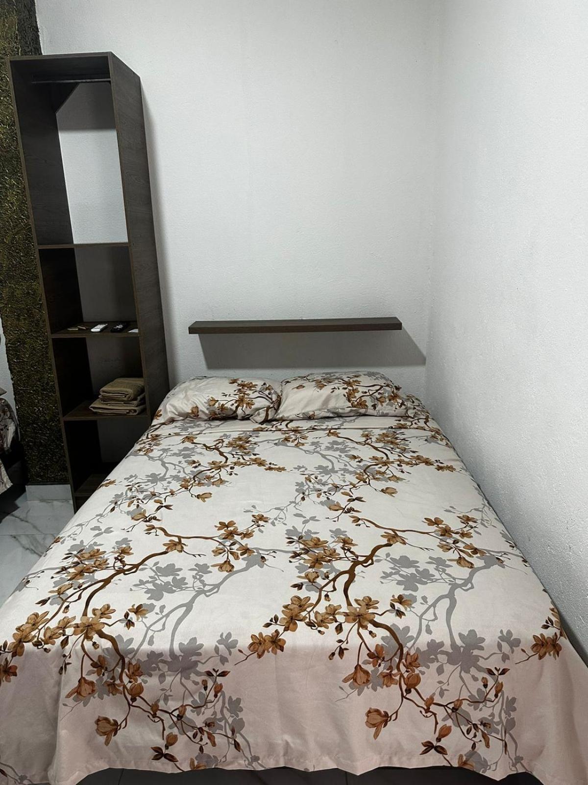 Casa Palmamar