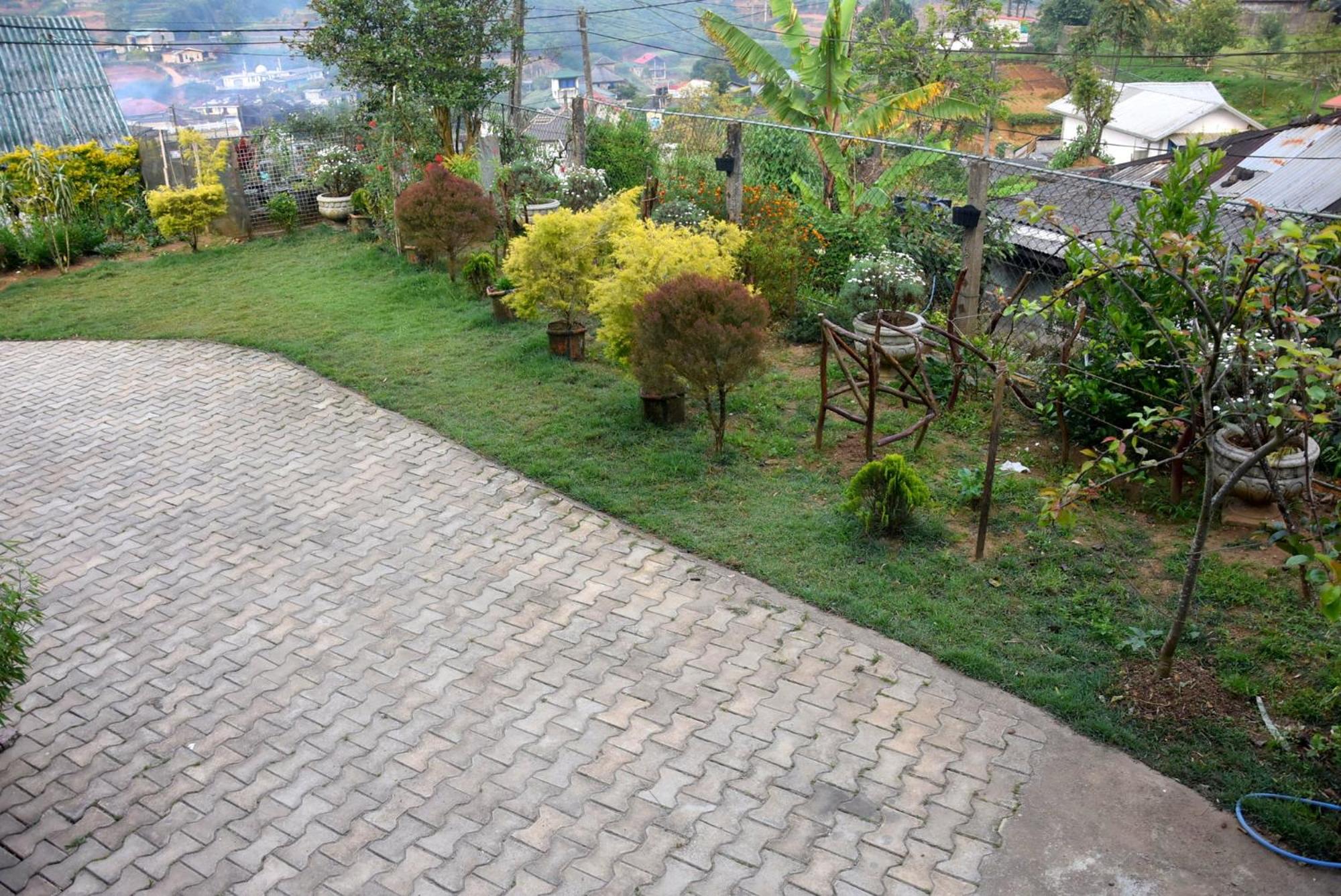 Photo 17