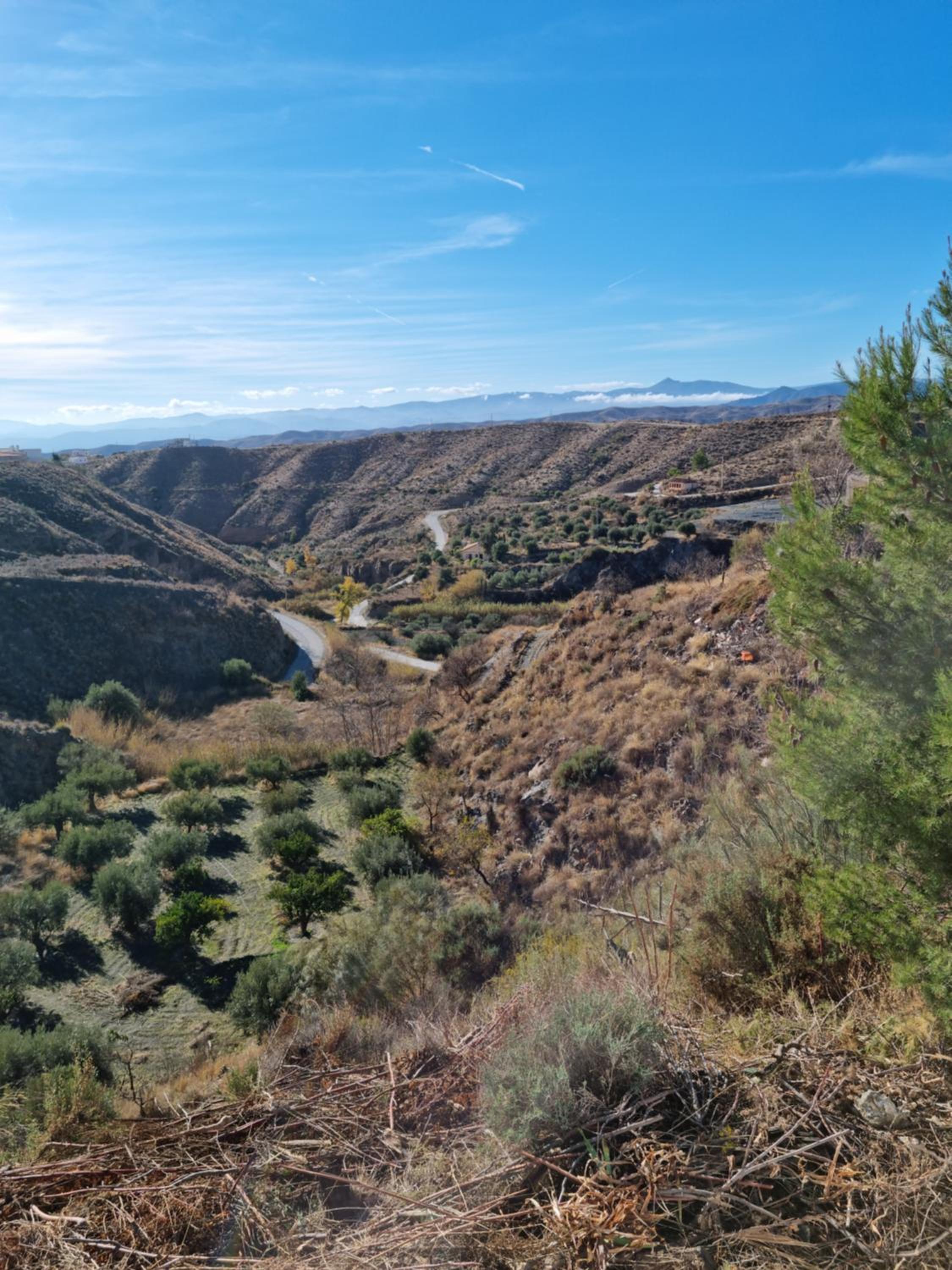 Cortijo naturista con vistas-clothing optional