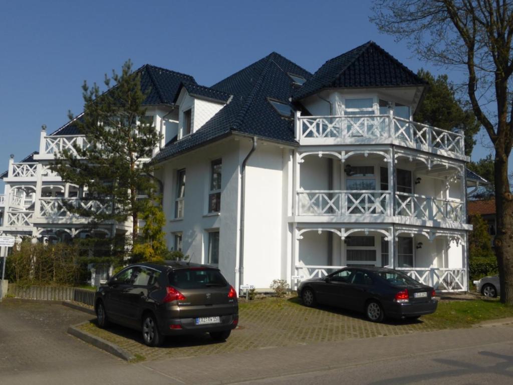 Silbermöwe im Haus Strelasund