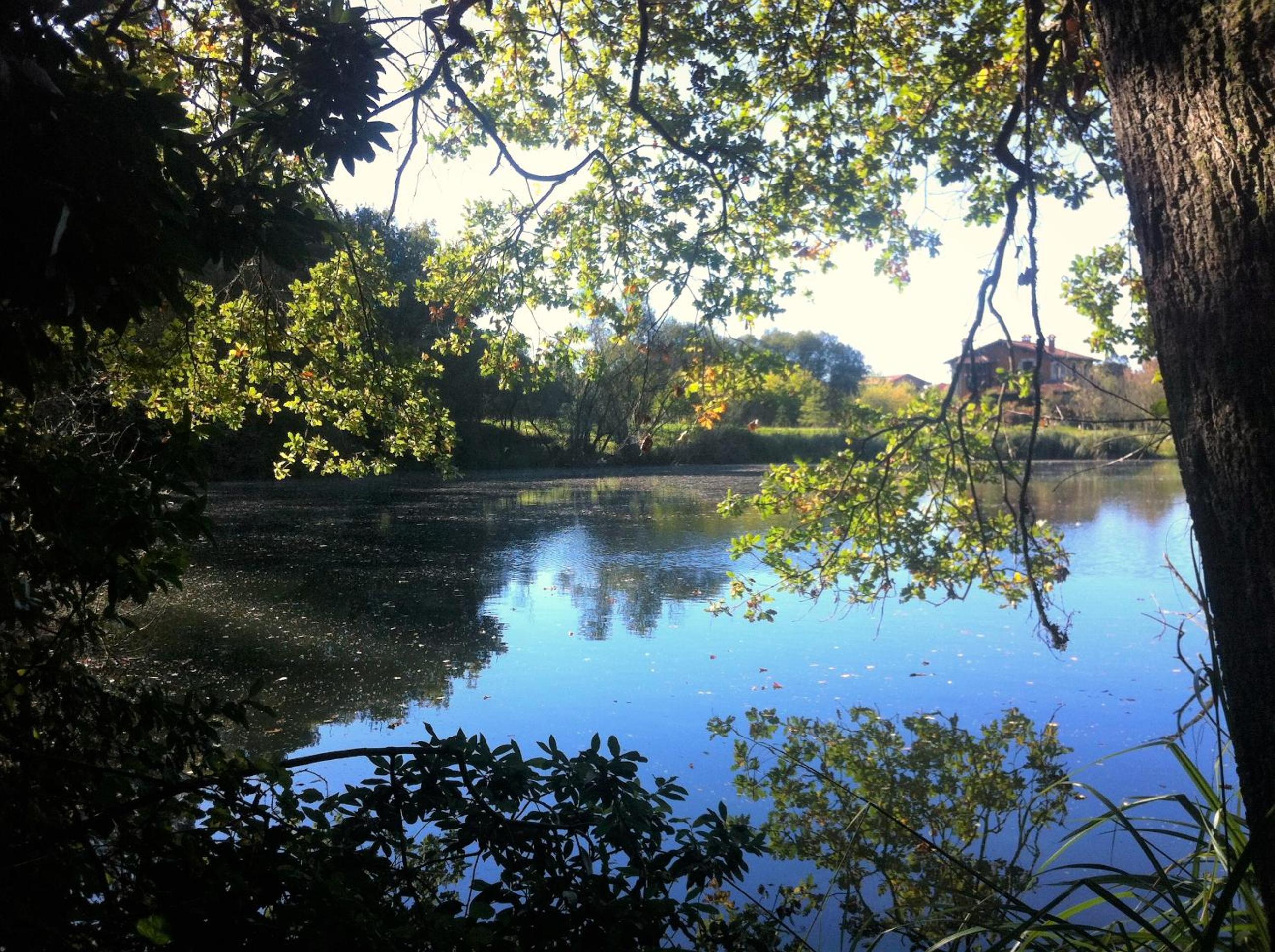 Photo 29