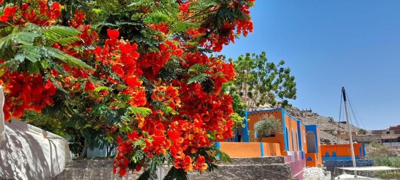 Resort Nubian Cataract