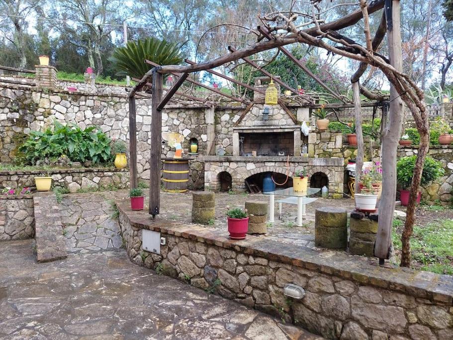 Nature retreat apartment