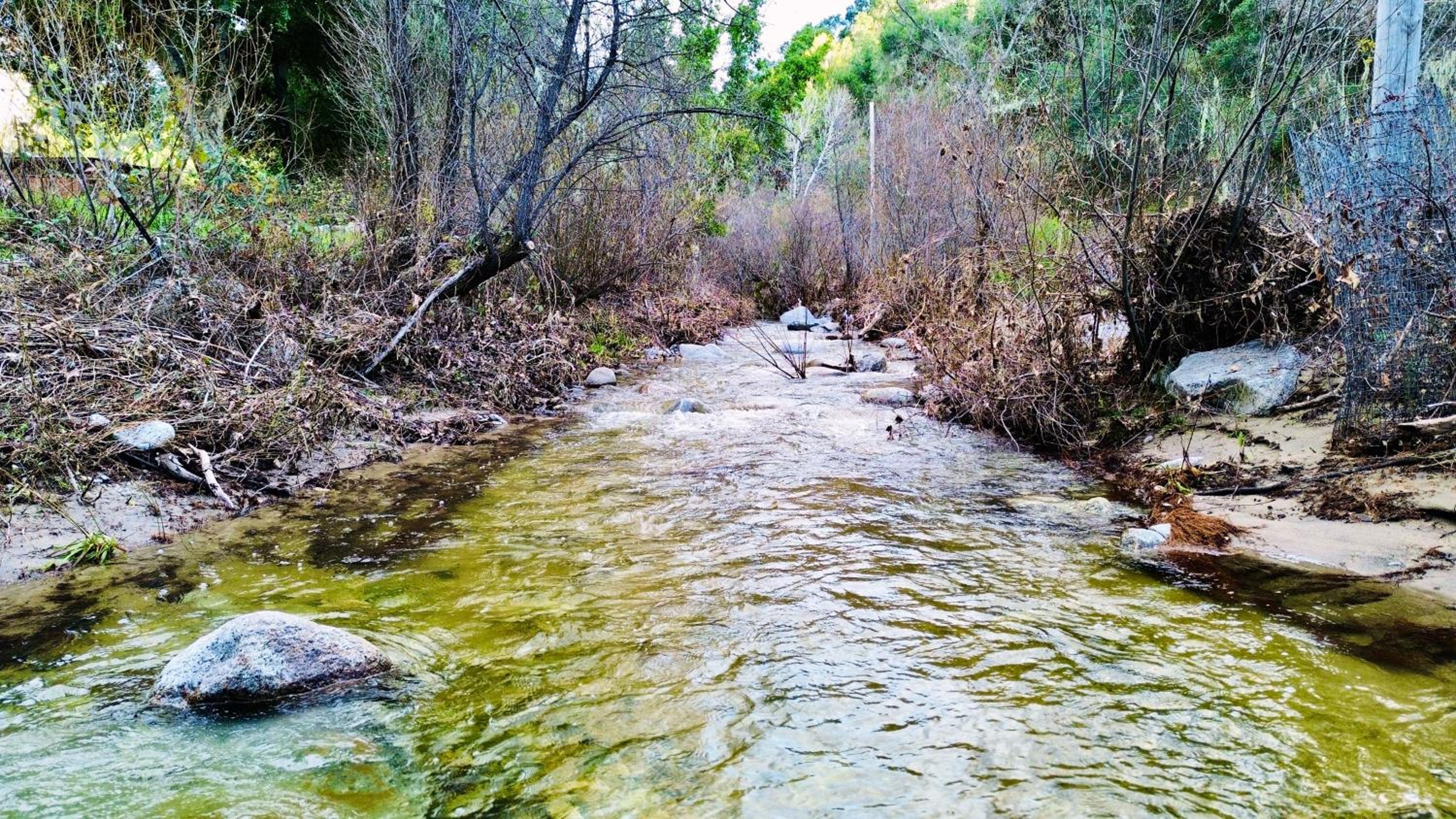 Photo 43
