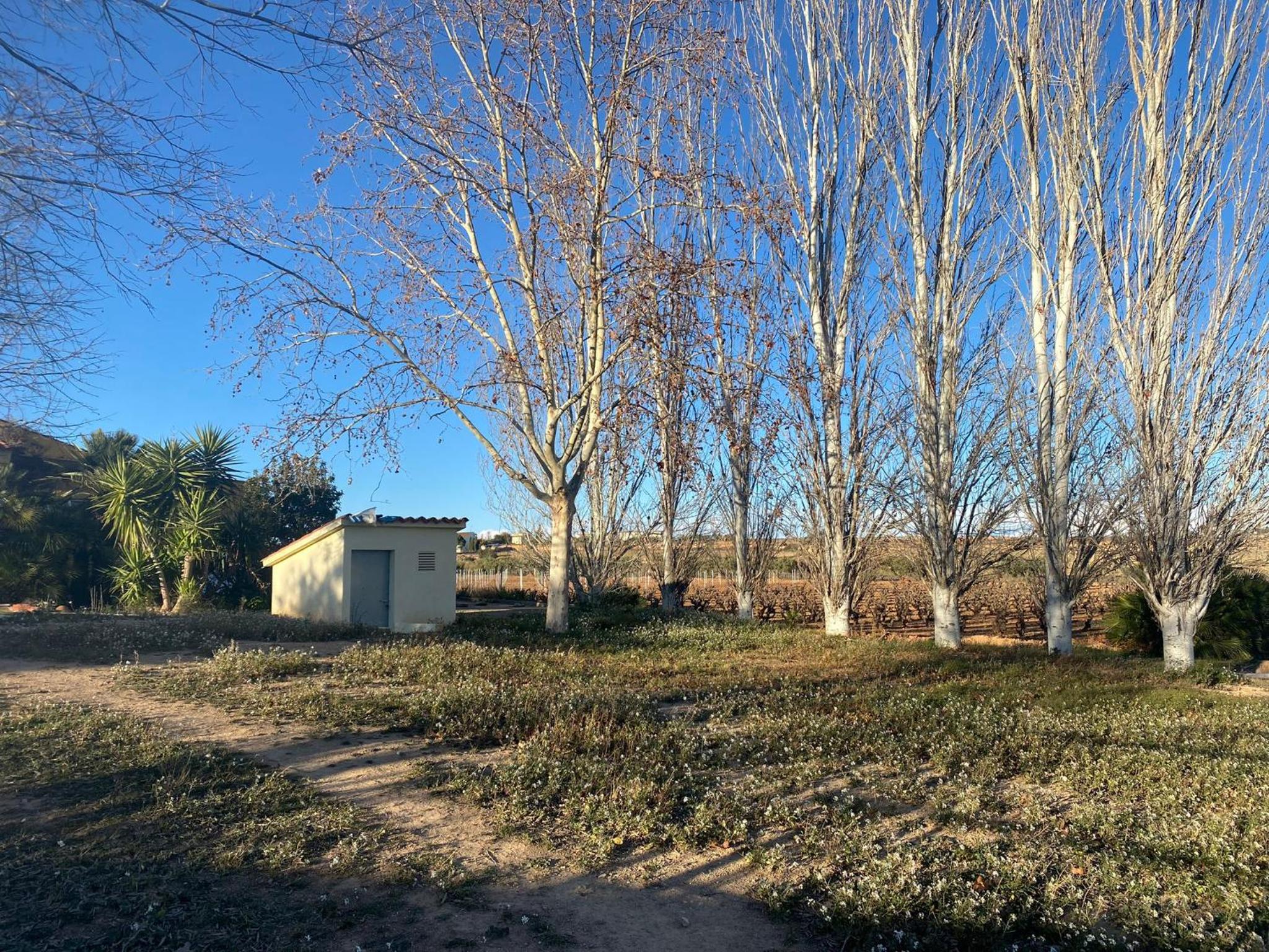 La Geneta Casa Vacacional