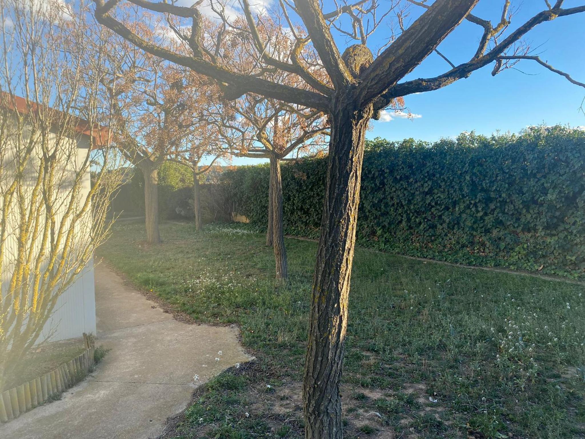 La Geneta Casa Vacacional