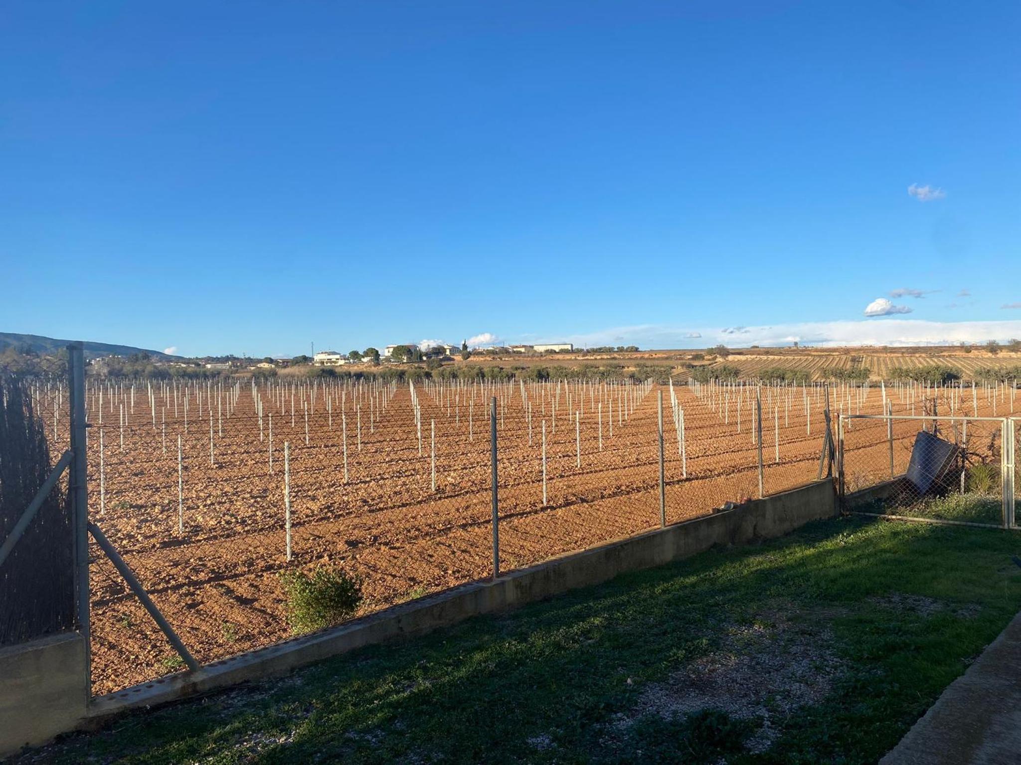 La Geneta Casa Vacacional