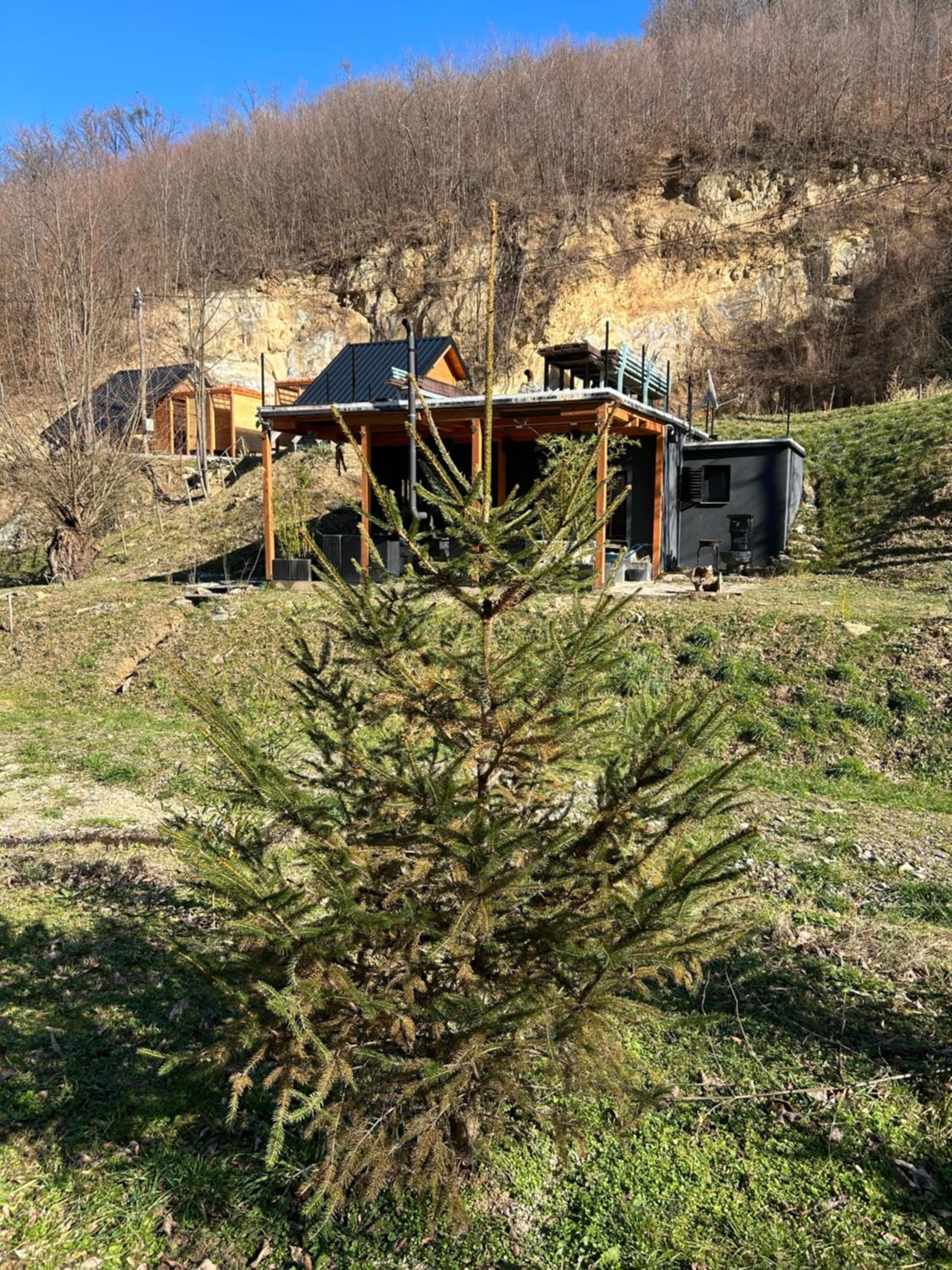 Photo 19