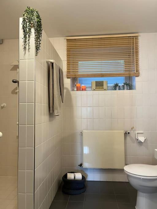 Privatwohnung mit Terrasse zum Relaxen
