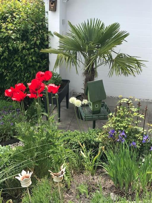 Privatwohnung mit Terrasse zum Relaxen