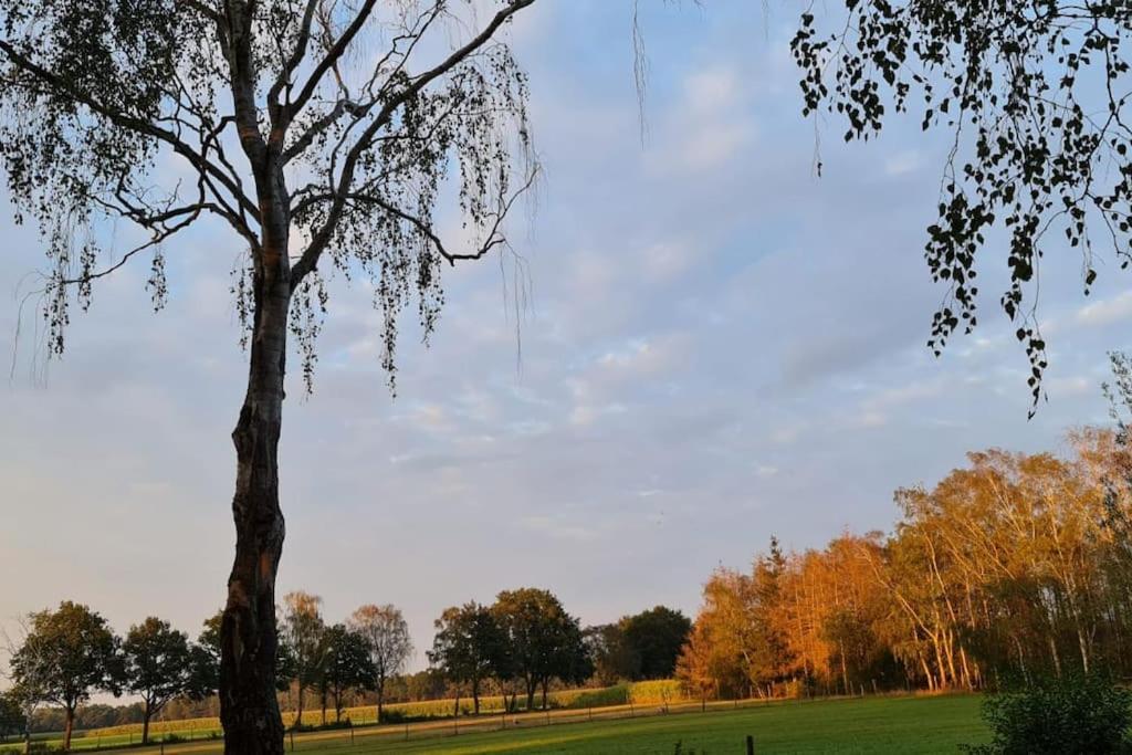 landelijke trekkershut