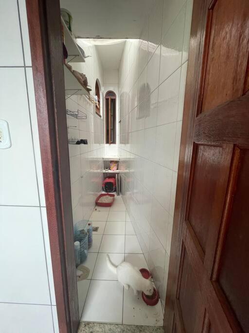 Casa Pet Friendly