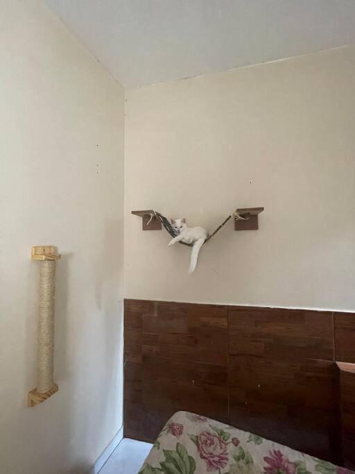 Casa Pet Friendly