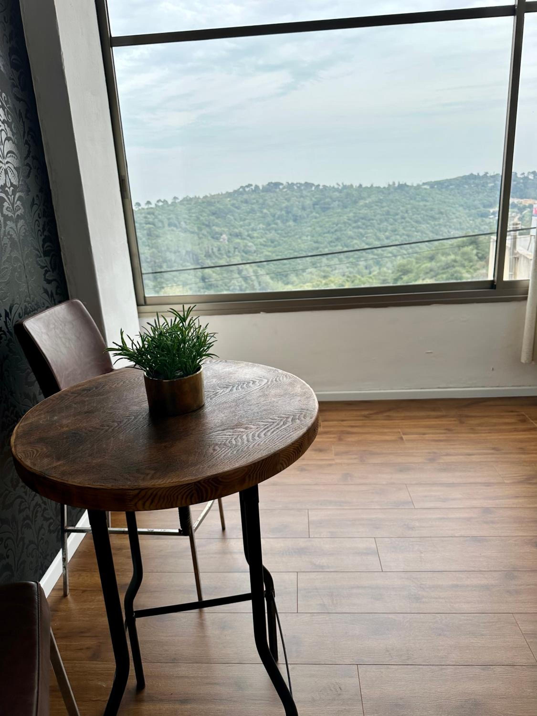 Panoramic View view 2