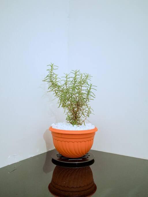 Photo 45