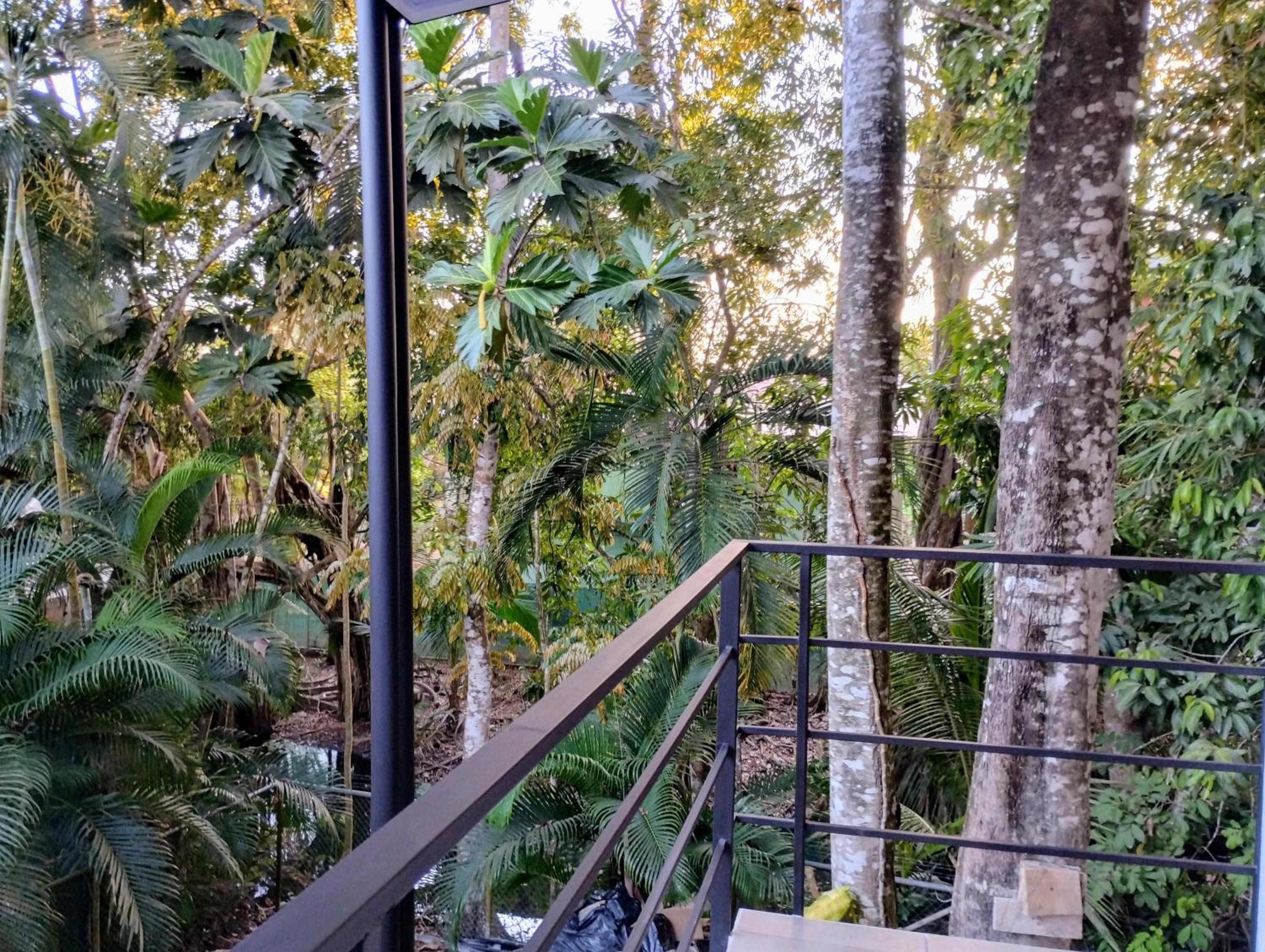 Casajungla Hostel
