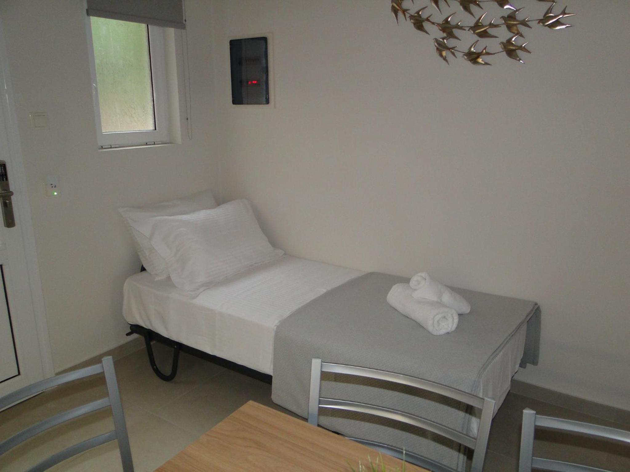 Chrysanthes No4 photo 5