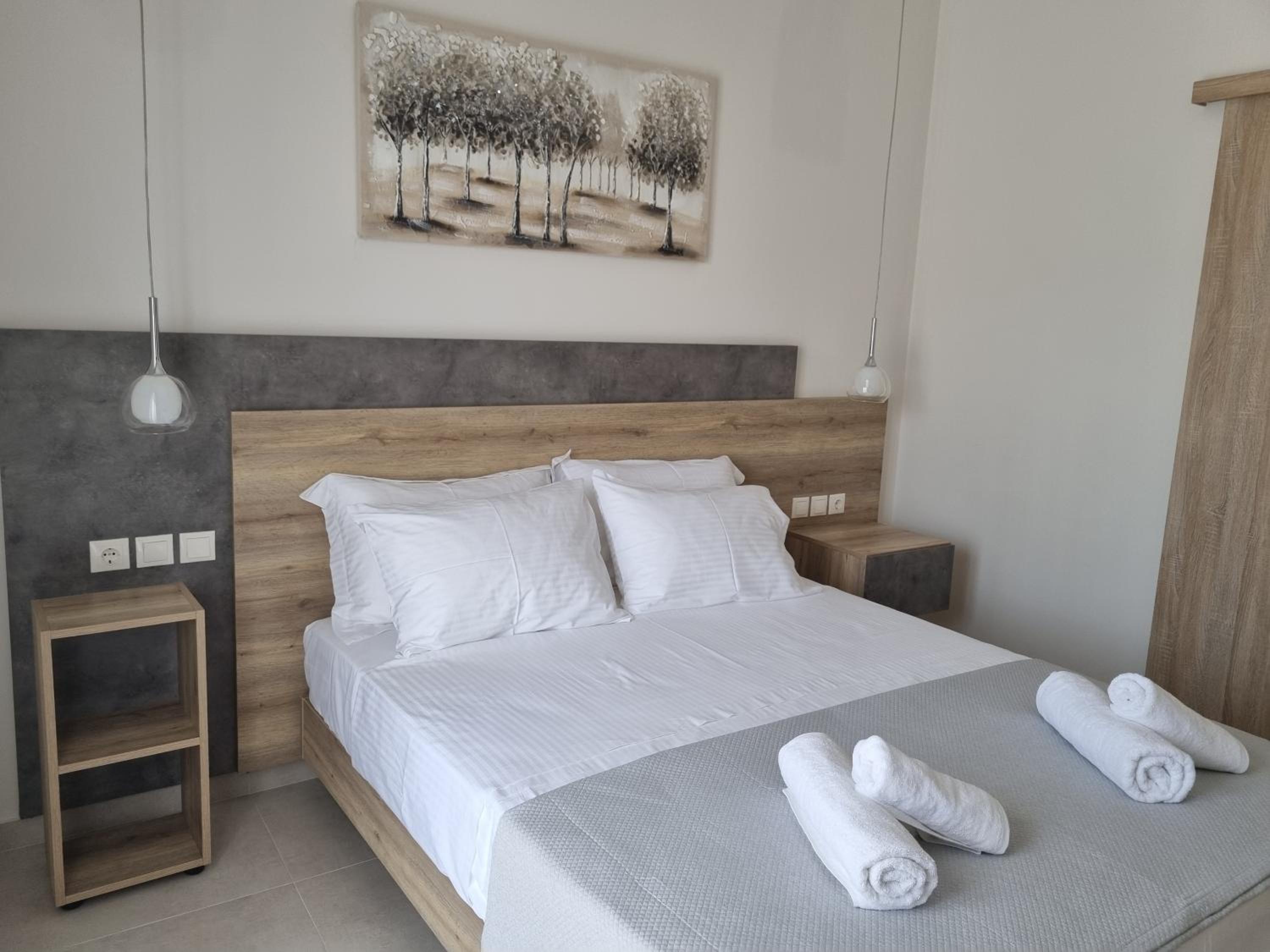 Chrysanthes No4 photo 3