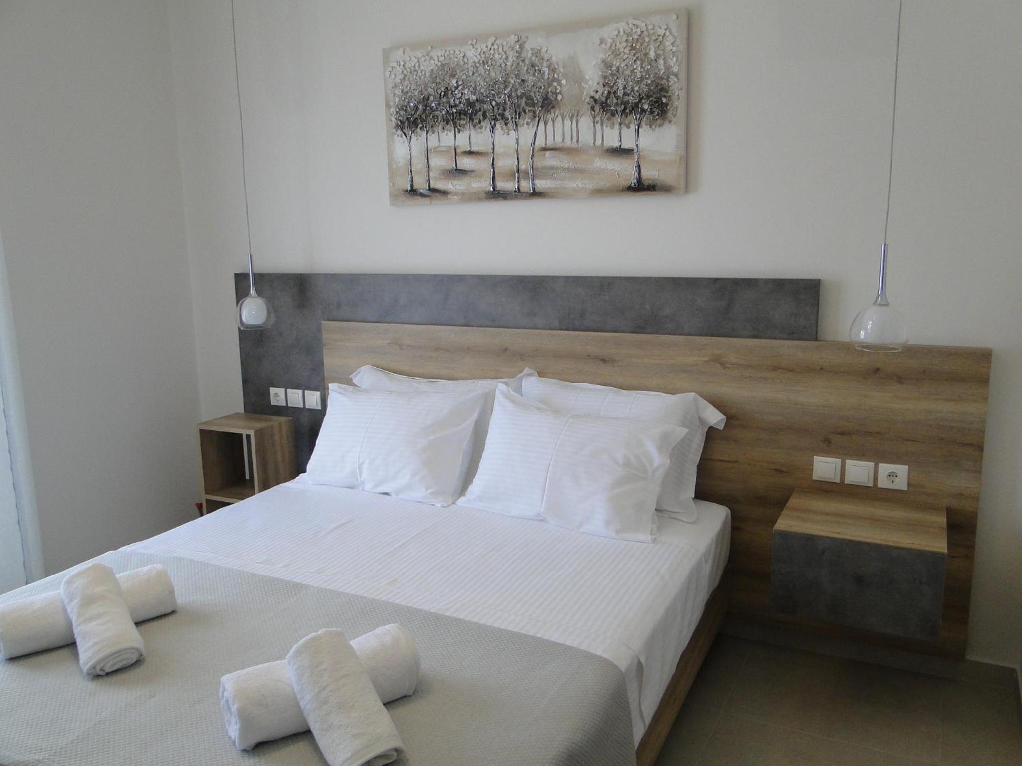 Chrysanthes No4 photo 4