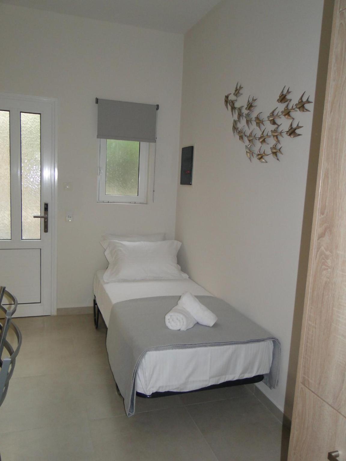 Chrysanthes No4 photo 2