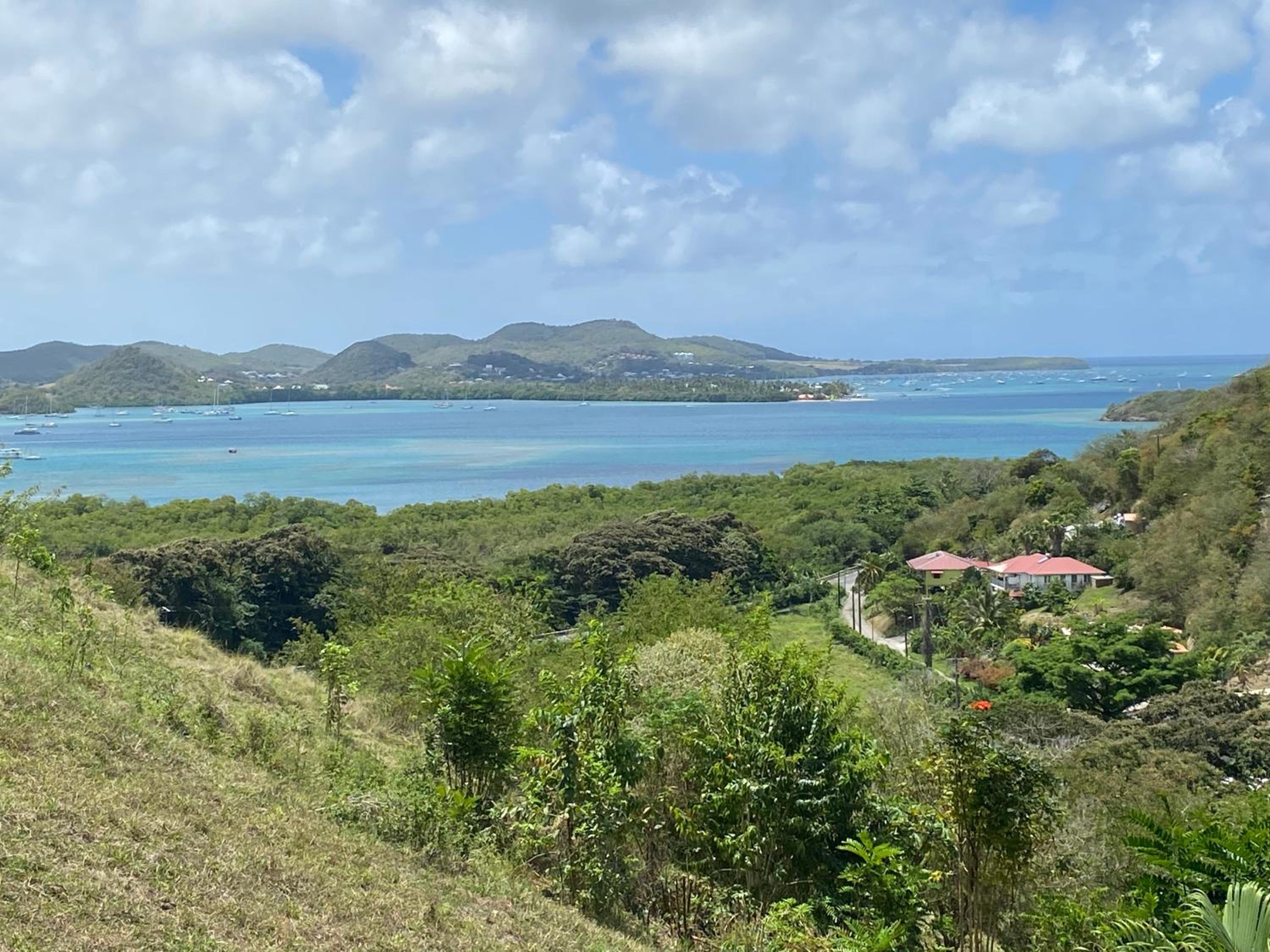 Home Sweet Martinique
