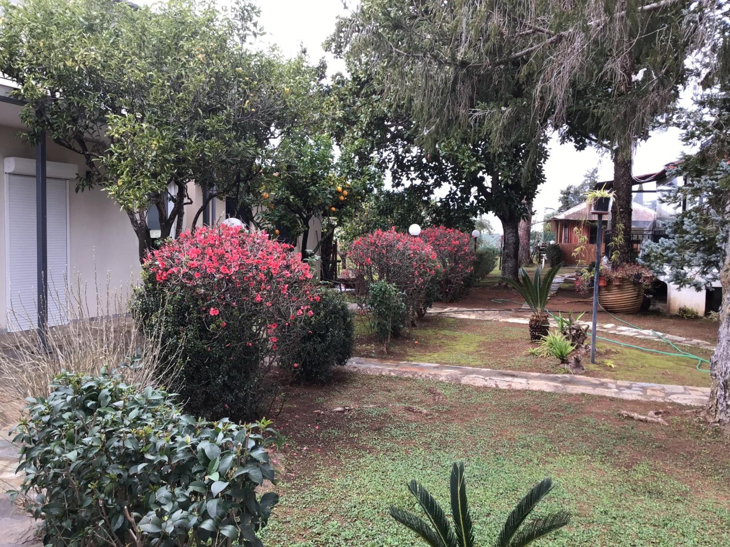 Photo 31