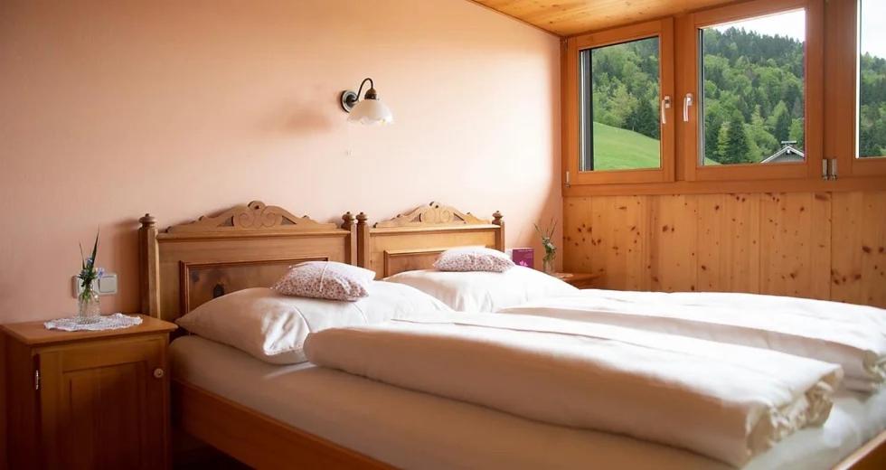 Bio Ferienbauernhof Greber - Natururlaub mit Ponys & Kaninchen