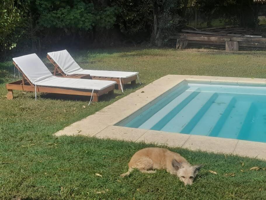 Derqui Home